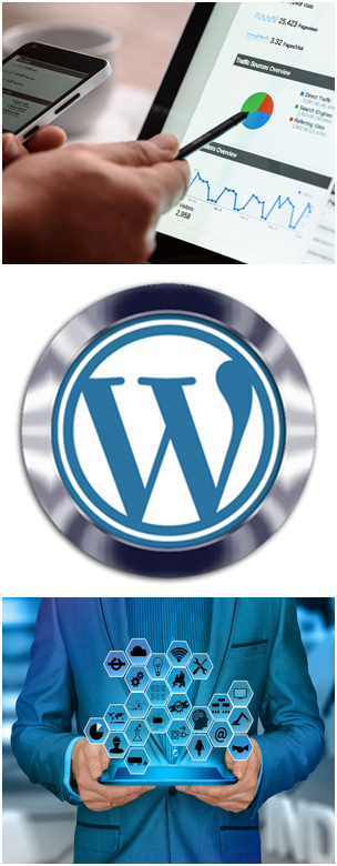 lhvweb.com uses wordpress
